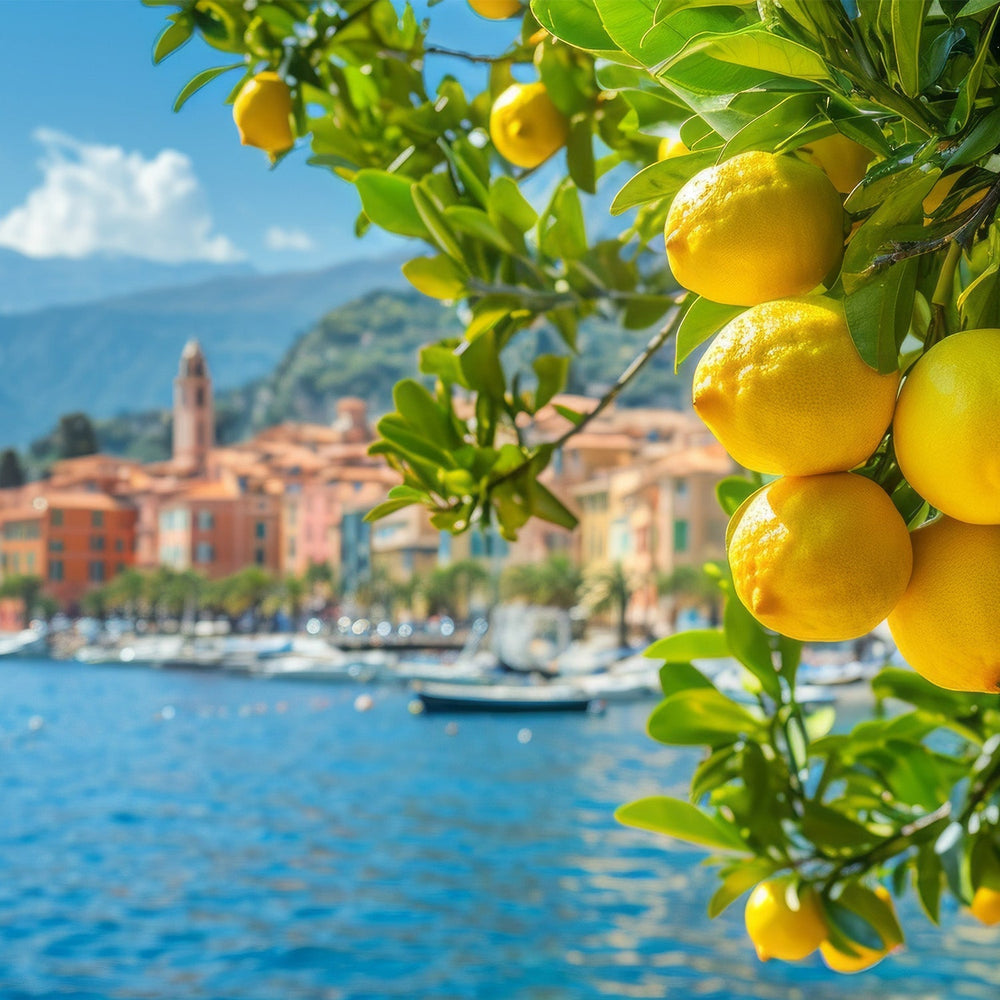 Le citron en parfumerie : fraîcheur hespéridée et création de parfum sur mesure